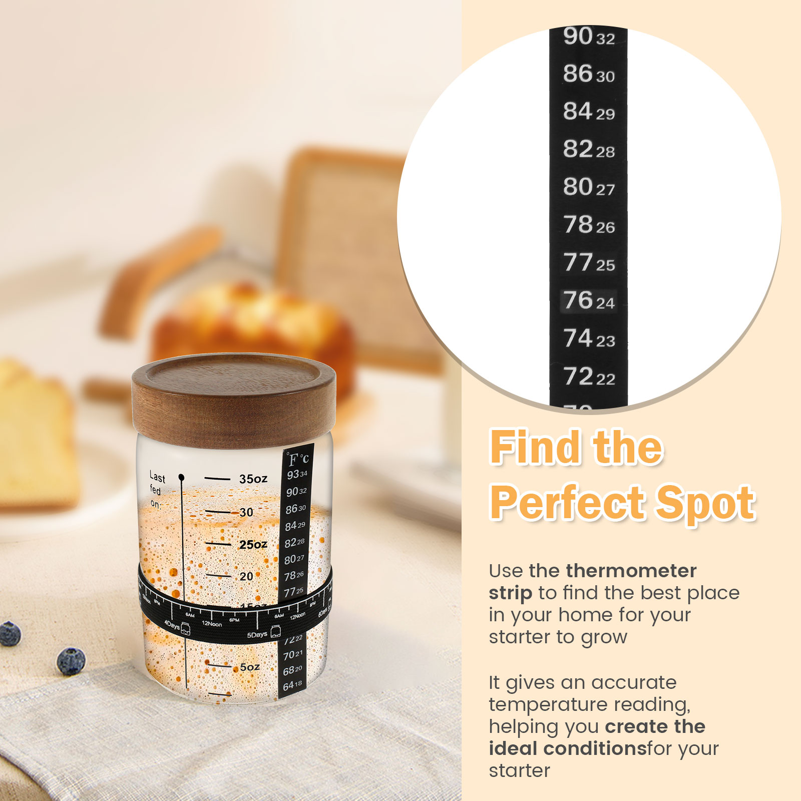 Kit barattolo di avviamento a  - Fermentation Crock recensione e prezzo